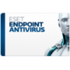 ESET Endpoint Antivirus 11ПК 12 месяцев продление